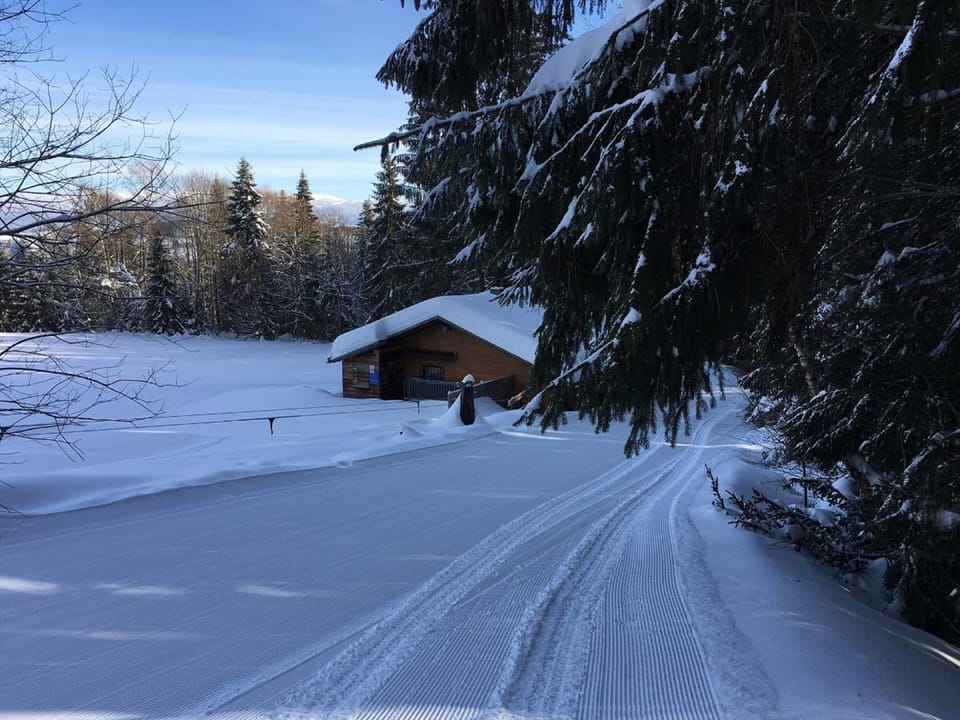 Snow and ski sports