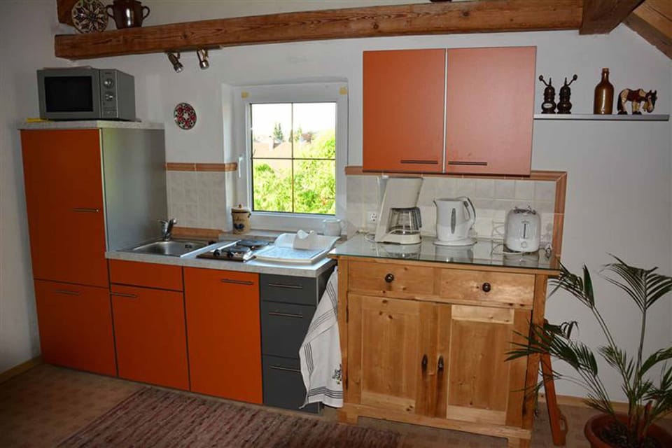Apartment, Balcony | Private kitchen | Full-size fridge, microwave, stovetop, coffee/tea maker