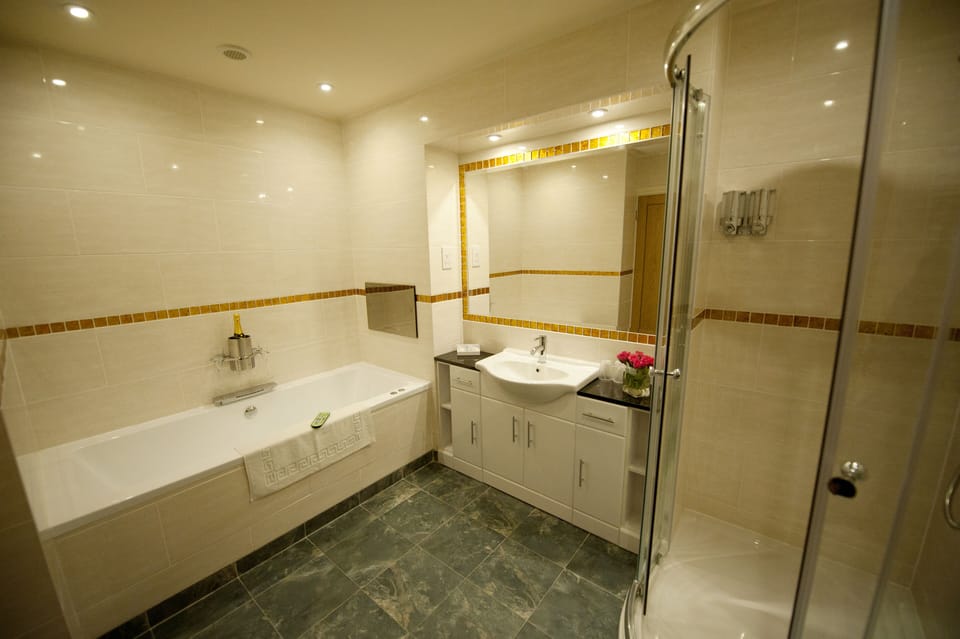 Luxury Double Room | Bathroom | Free toiletries, towels, soap, shampoo