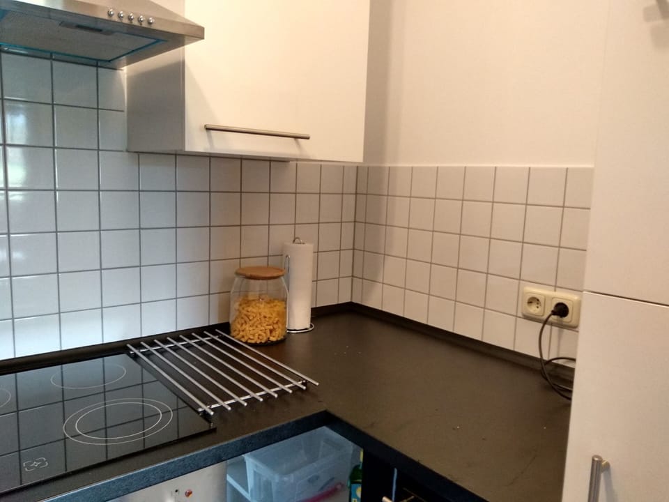 Apartment | Private kitchen | Full-size fridge, oven, stovetop, dishwasher