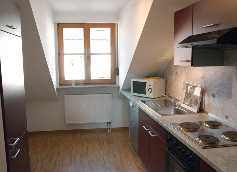 Apartment | Private kitchen | Fridge, coffee/tea maker, toaster, cookware/dishes/utensils