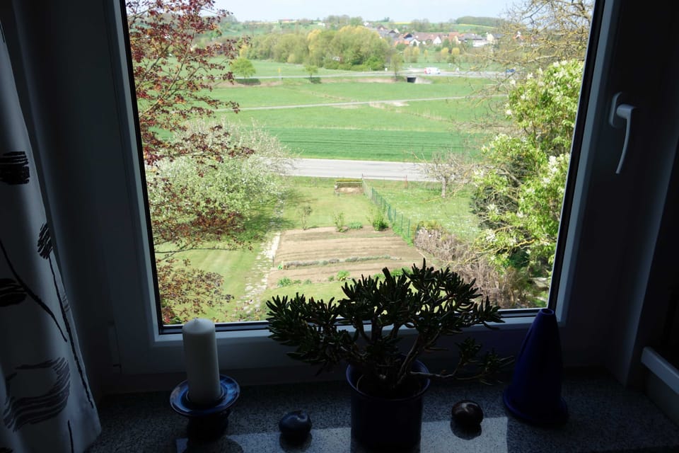 Apartment | Garden view