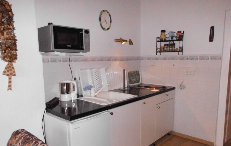 Apartment | Private kitchen | Fridge, microwave, oven, coffee/tea maker
