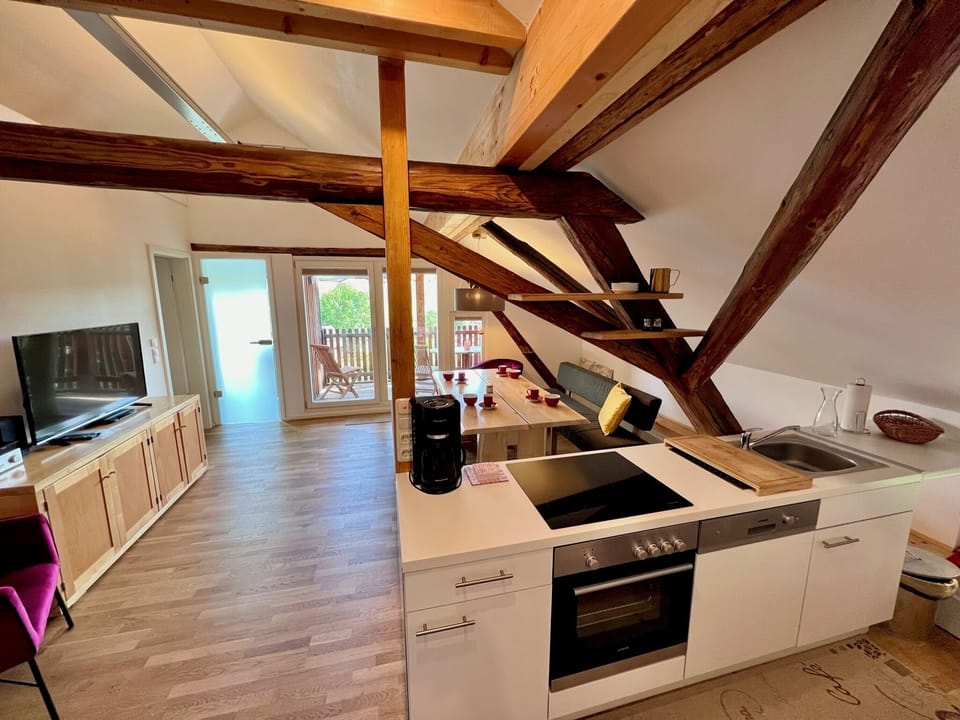 Apartment, Balcony | Private kitchen | Fridge, oven, stovetop, dishwasher