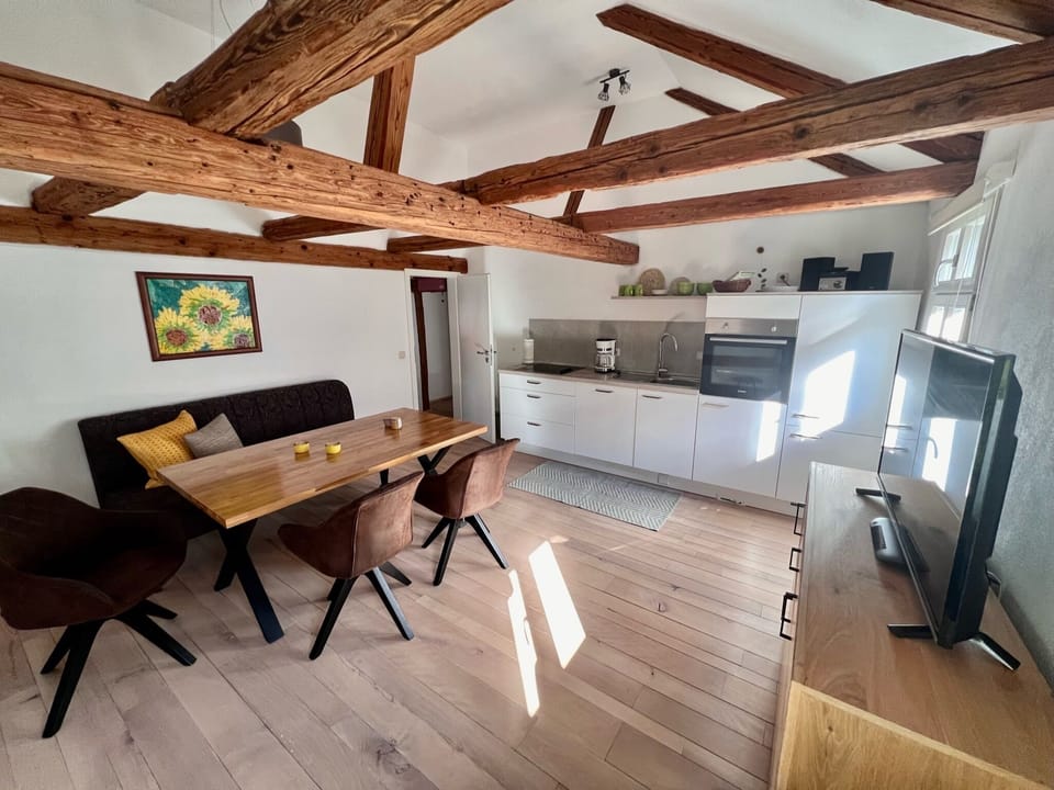 Apartment | Private kitchen | Fridge, oven, stovetop, dishwasher