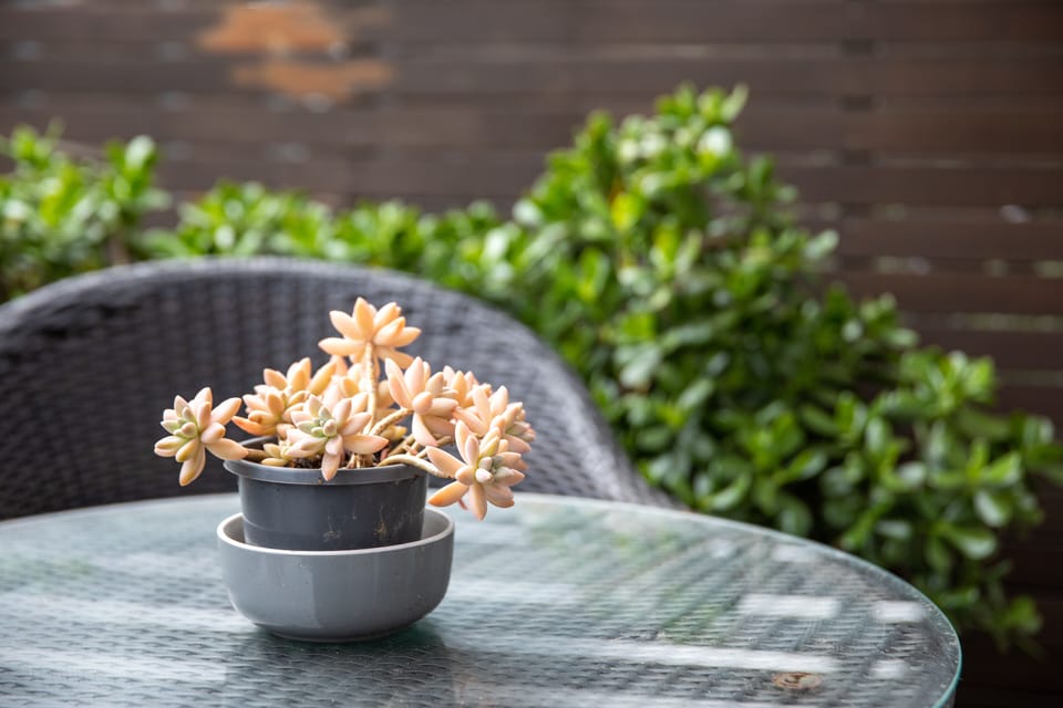 One Bedroom Apartment | Balcony view