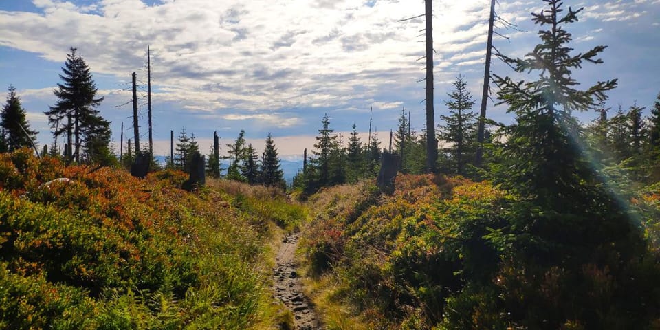 Hiking
