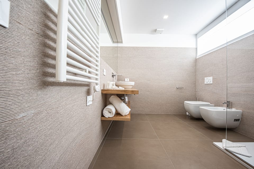Shower, free toiletries, hair dryer, bidet