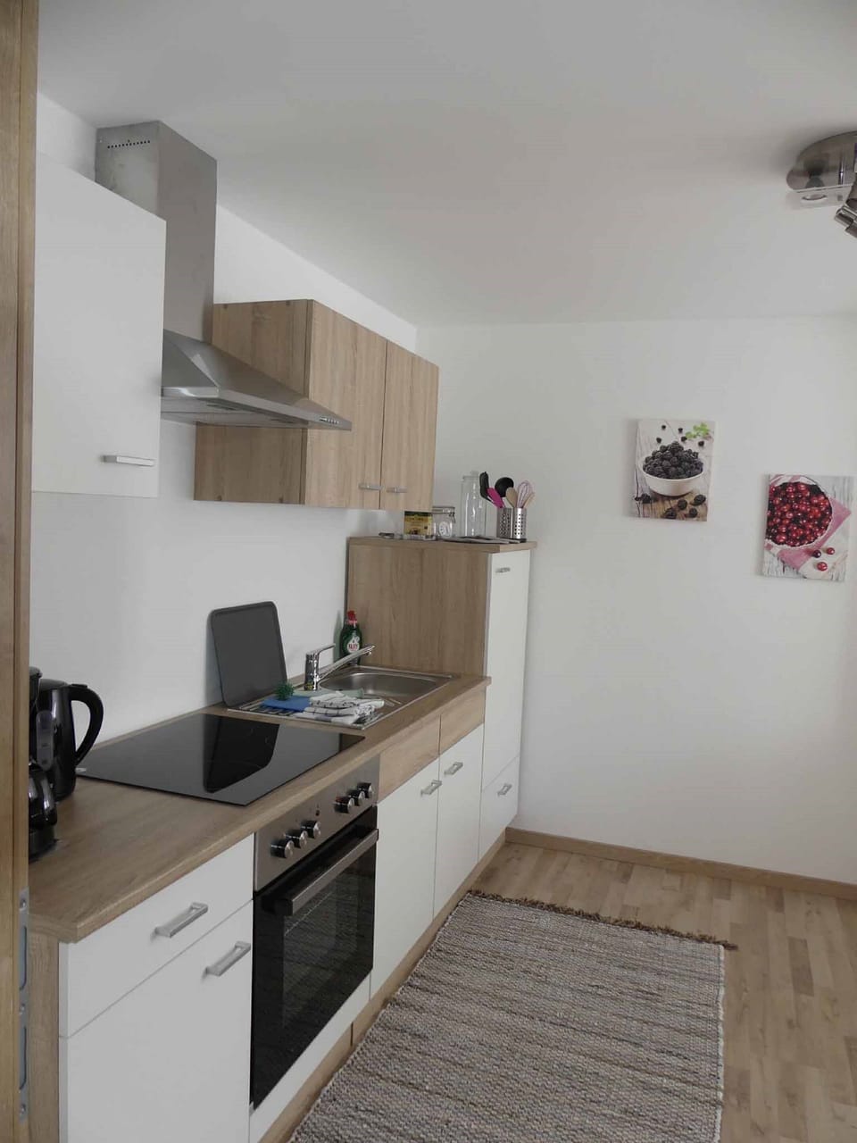 Apartment | Private kitchen | Fridge, microwave, oven, stovetop