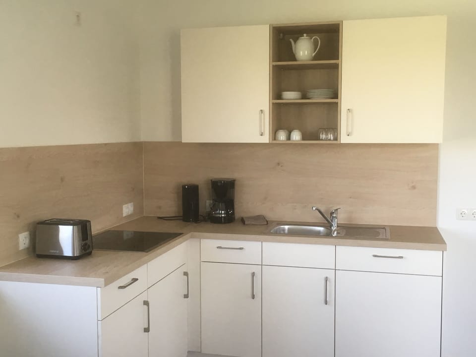 Apartment | Private kitchen | Full-size fridge, oven, stovetop, dishwasher