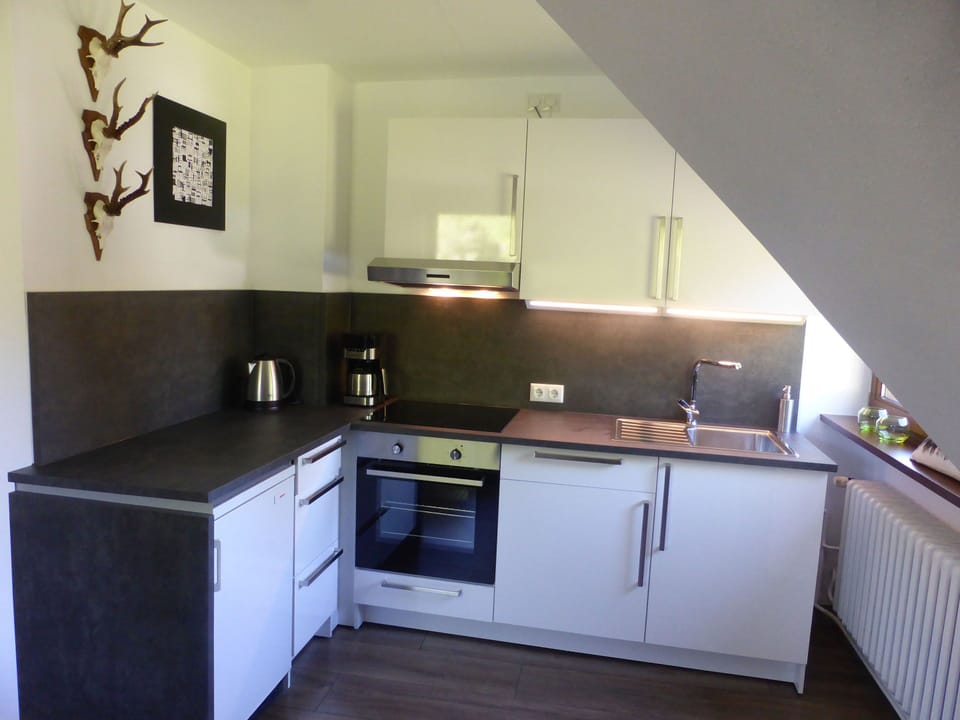 Apartment, 2 Bedrooms | Private kitchen | Fridge, oven, stovetop, coffee/tea maker