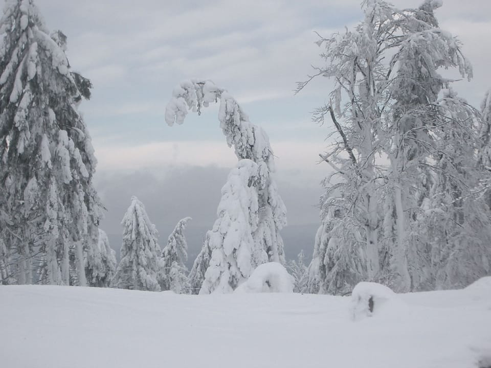 Snowshoeing