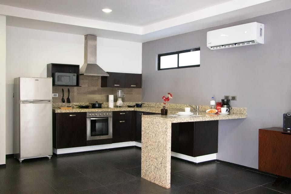 Full-size fridge, microwave, stovetop, blender