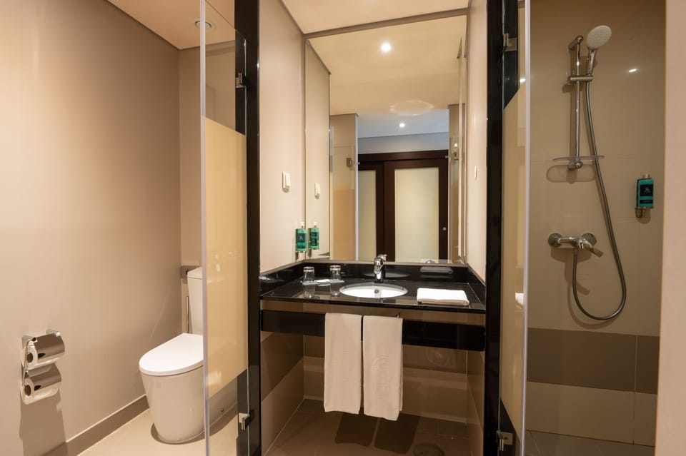 Family Room | Bathroom | Shower, free toiletries, towels
