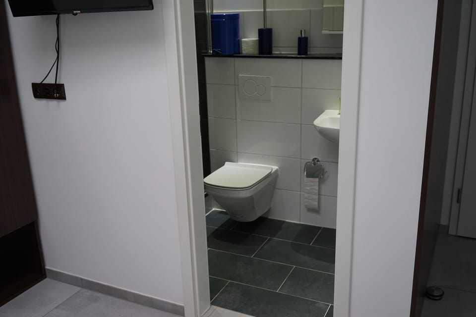 Classic Shared Dormitory | Bathroom | Shower, towels