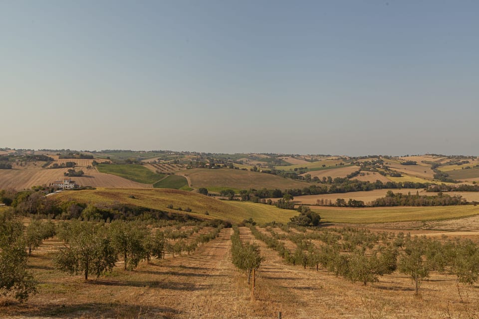 Land view from property