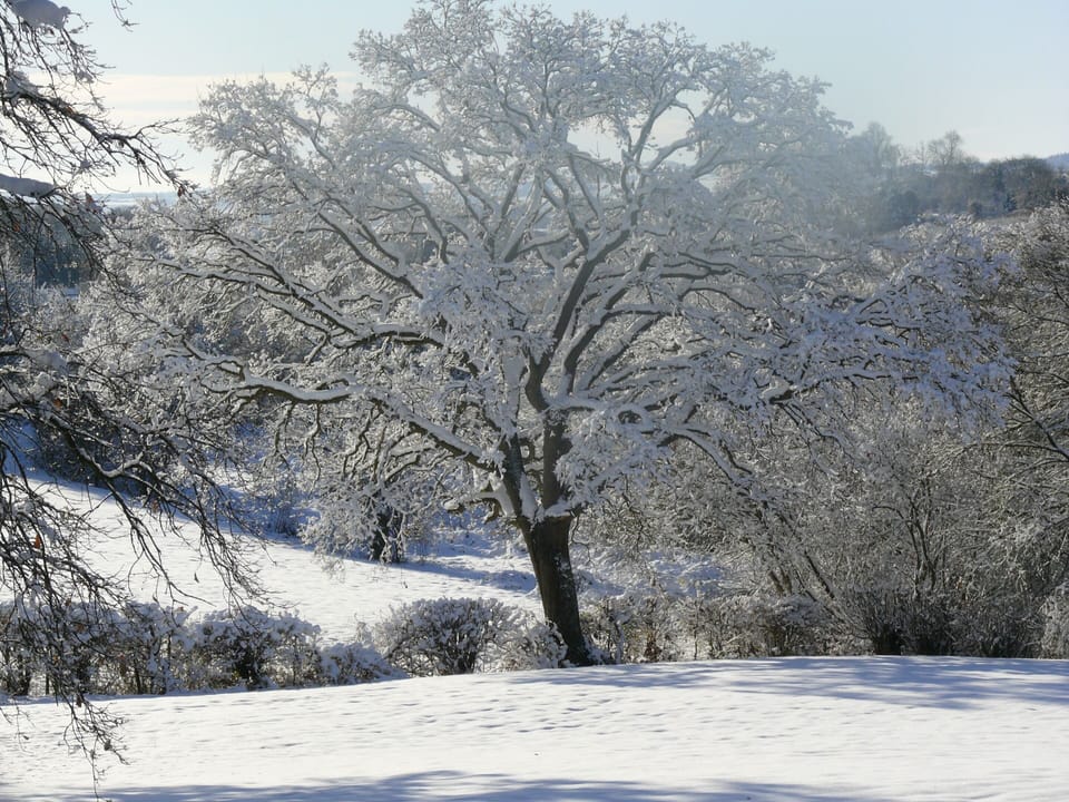 The Motor House Lodge in Malvern Hills District