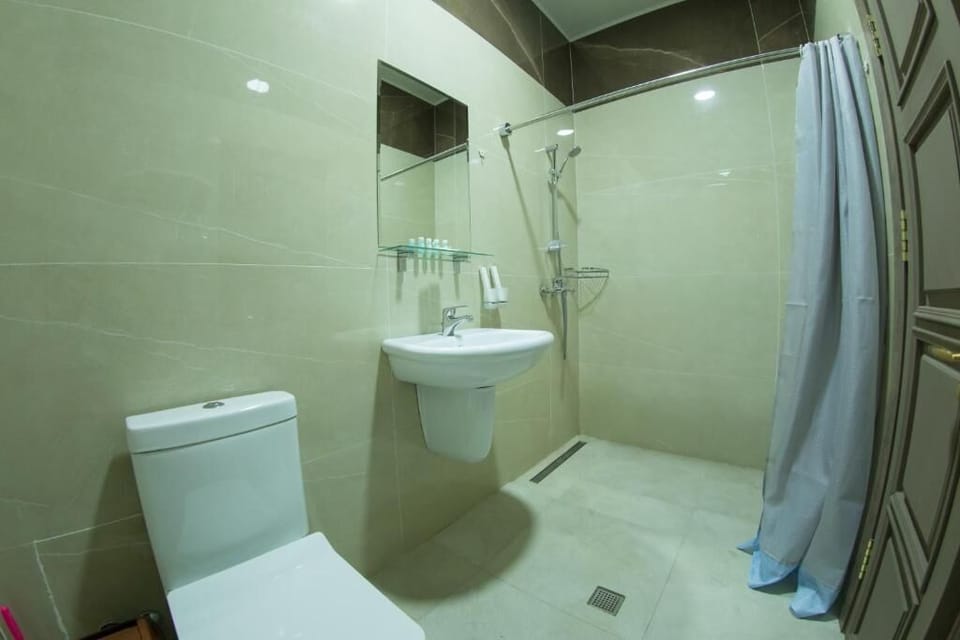 Superior Double or Twin Room | Bathroom | Shower, free toiletries, hair dryer, slippers