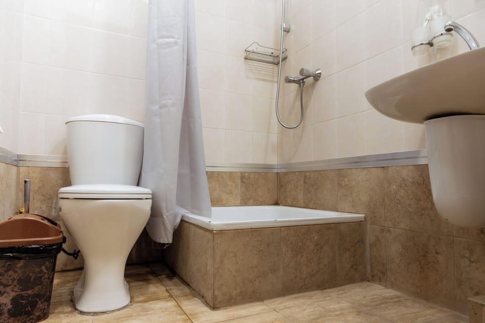 Shower, free toiletries, hair dryer, slippers