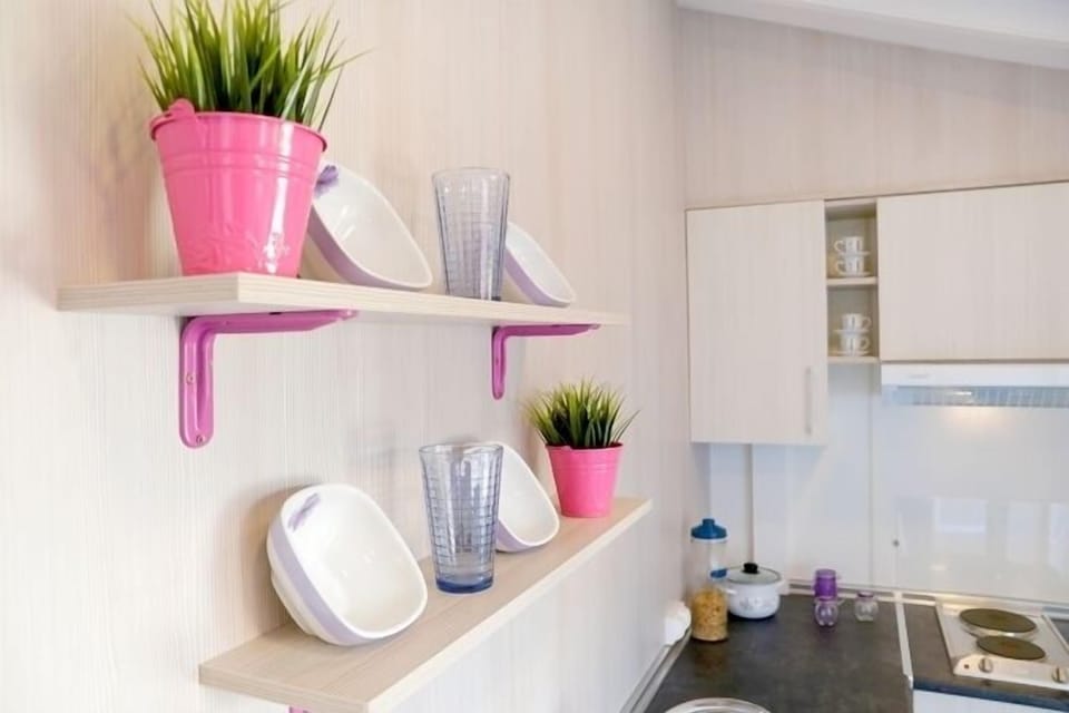 Full-size fridge, microwave, stovetop, electric kettle