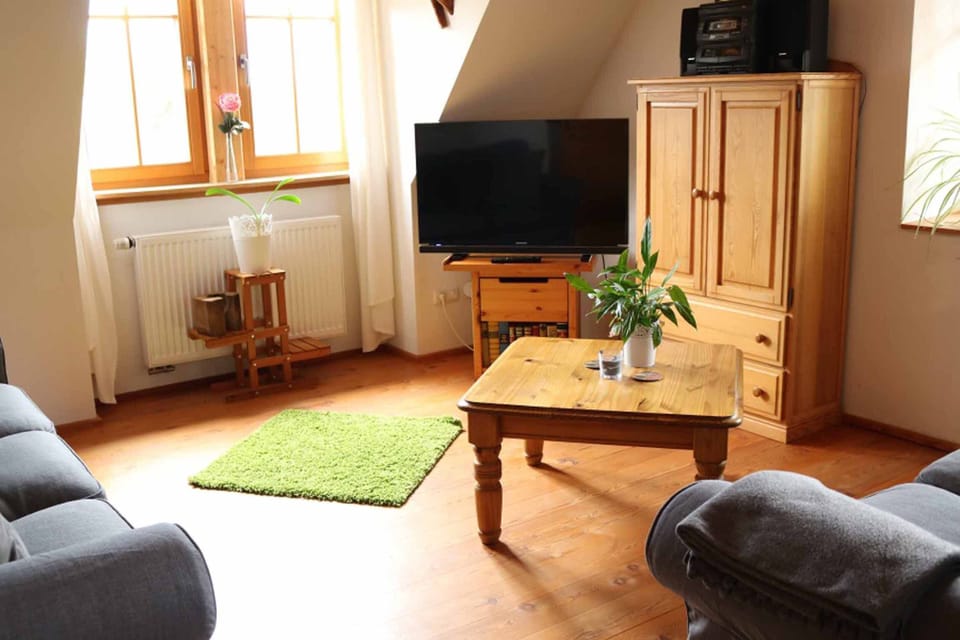 Apartment | Living room | 20-inch TV with satellite channels