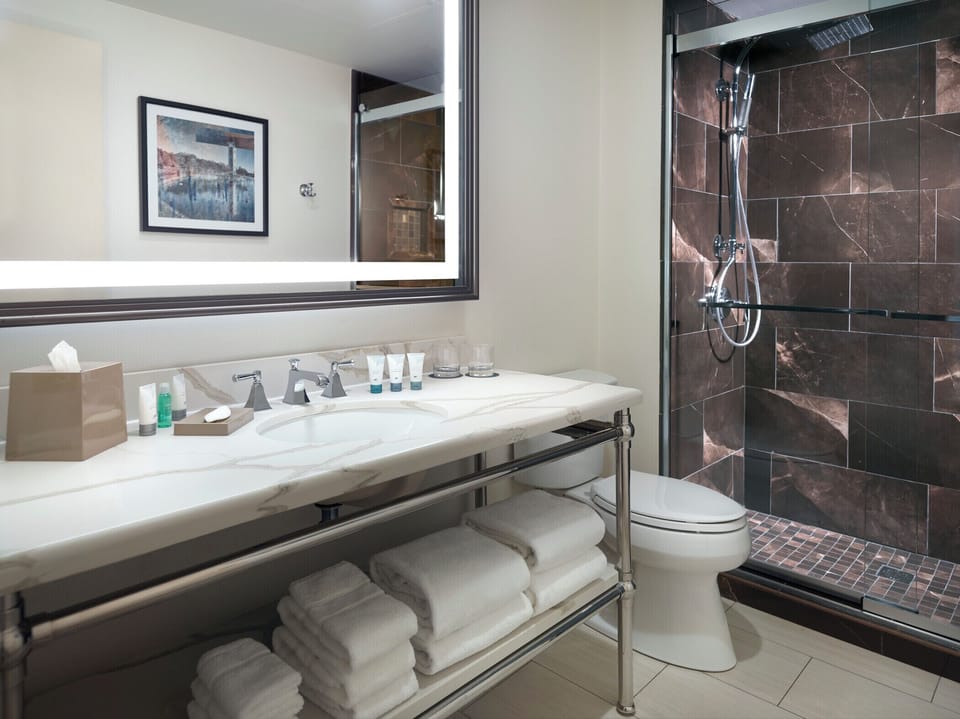 Rainfall showerhead, hair dryer, bathrobes, towels