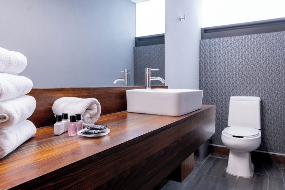Superior Suite | Bathroom | Shower, free toiletries, hair dryer (on request), towels