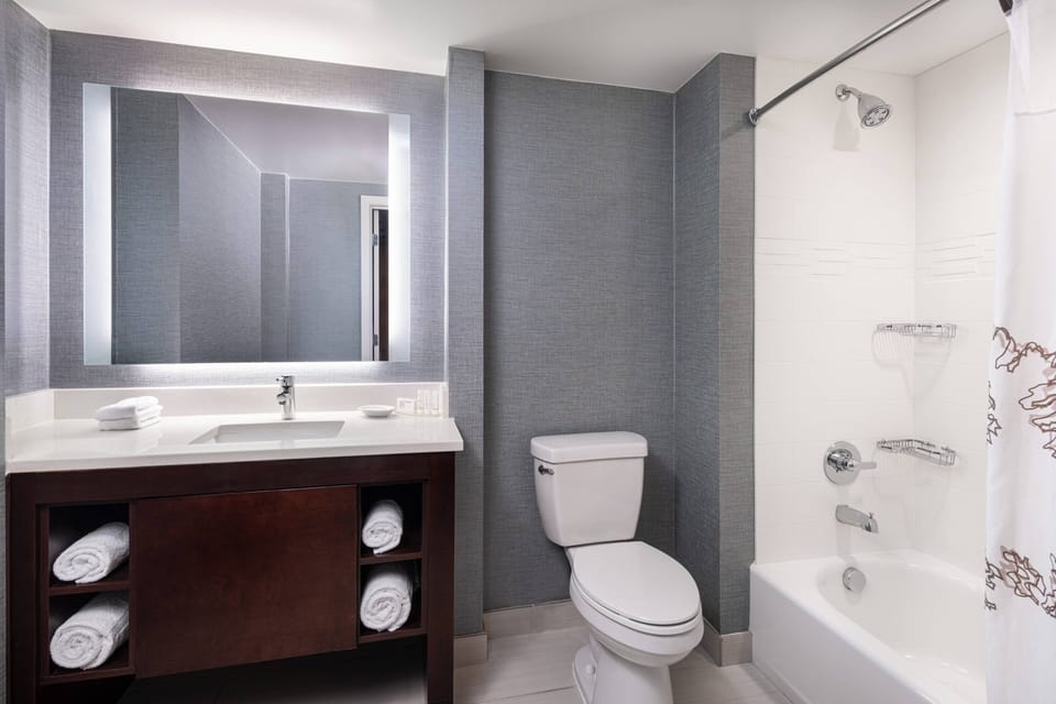 Combined shower/tub, free toiletries, hair dryer, towels