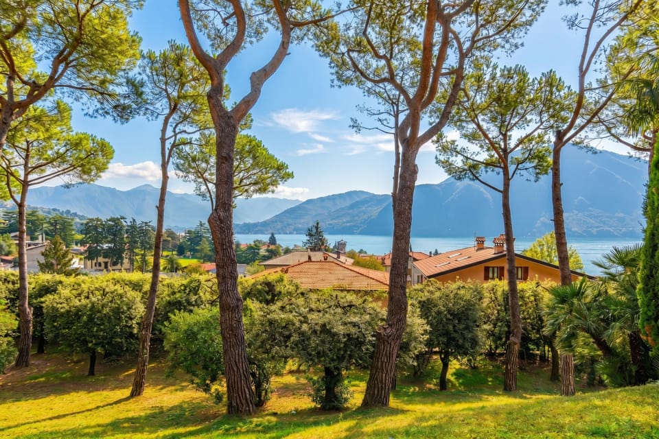 Honeymoon Apartment, 1 Bedroom, Terrace (Brentano Elegante) | Miscellaneous