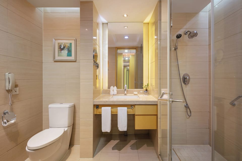 Shower, free toiletries, hair dryer, bathrobes
