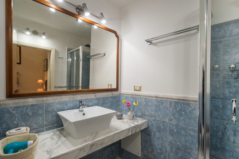 Shower, hydromassage showerhead, eco-friendly toiletries, hair dryer