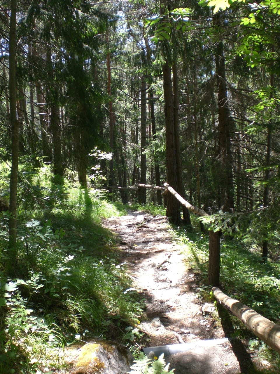 Hiking