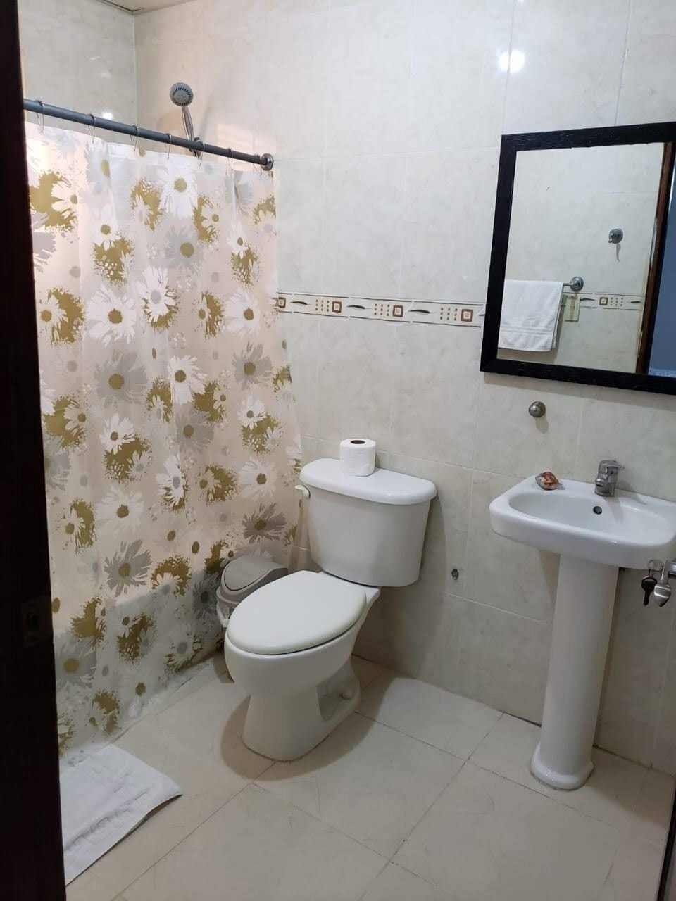 Basic Apartment | Bathroom | Shower, towels, soap, shampoo