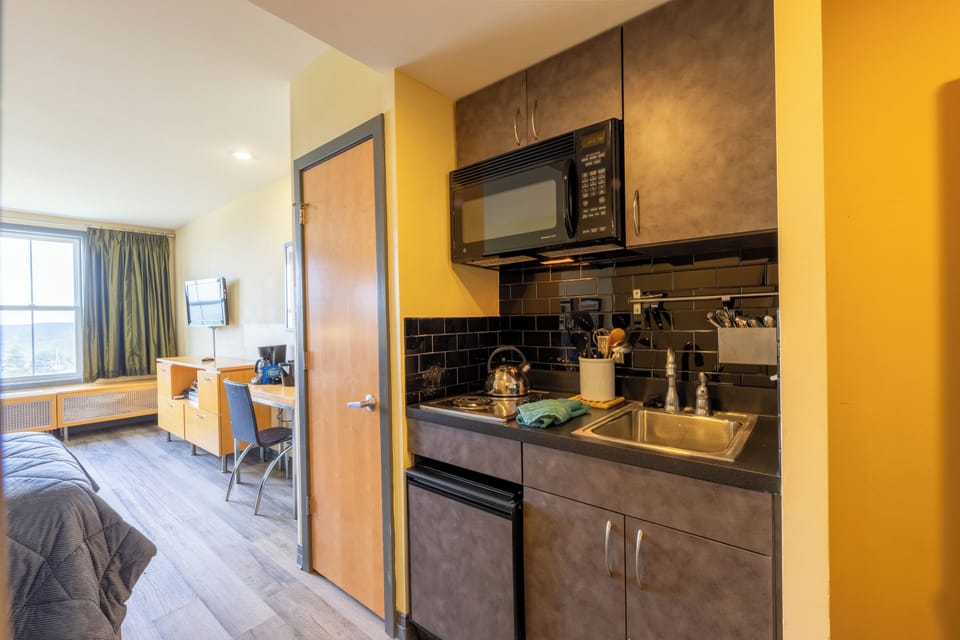 Studio | Private kitchenette | Fridge, microwave, stovetop, toaster