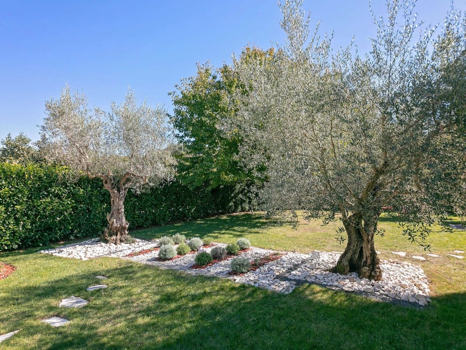 Villa | Garden