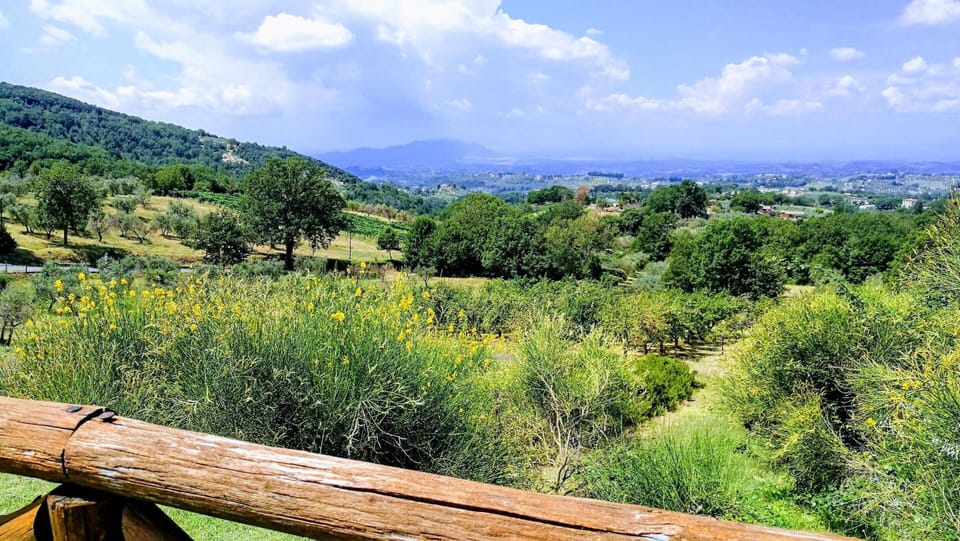 House | View from property