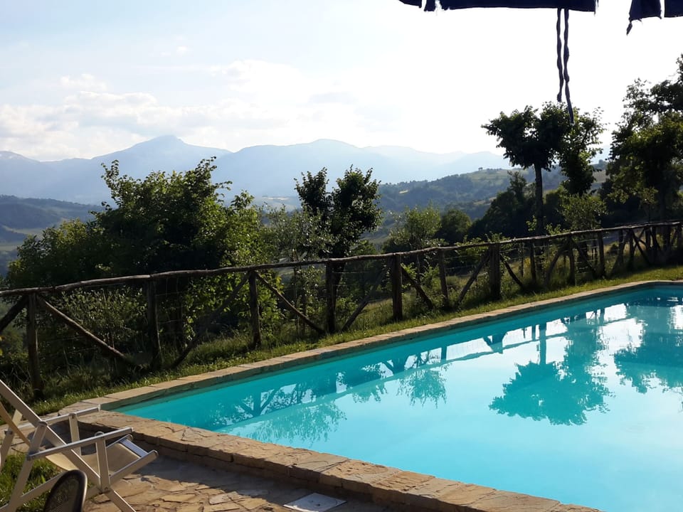 House | Pool | Outdoor pool