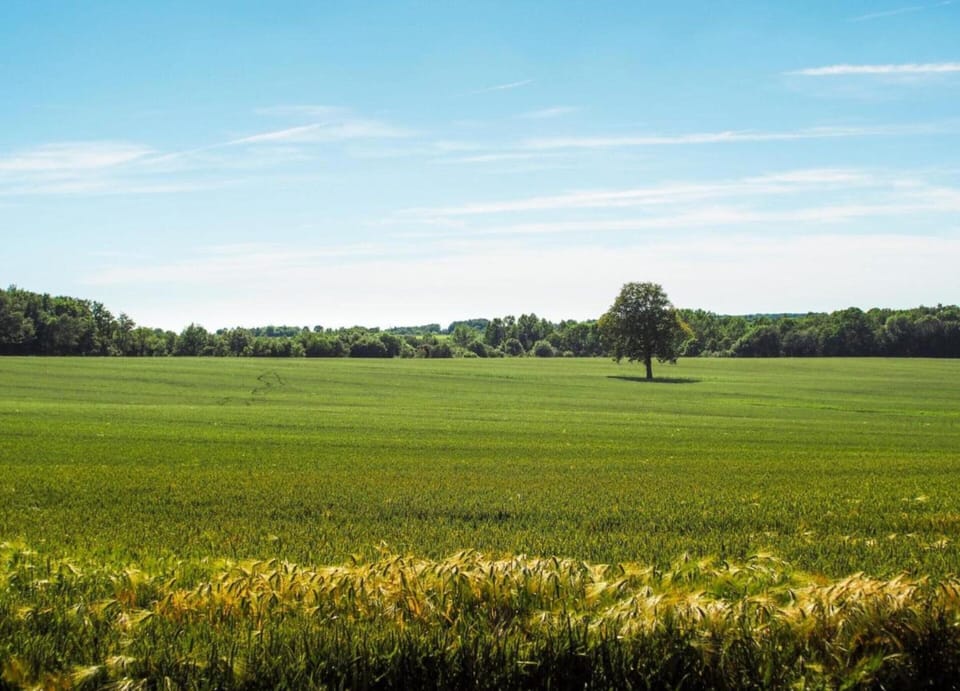 House | View from property