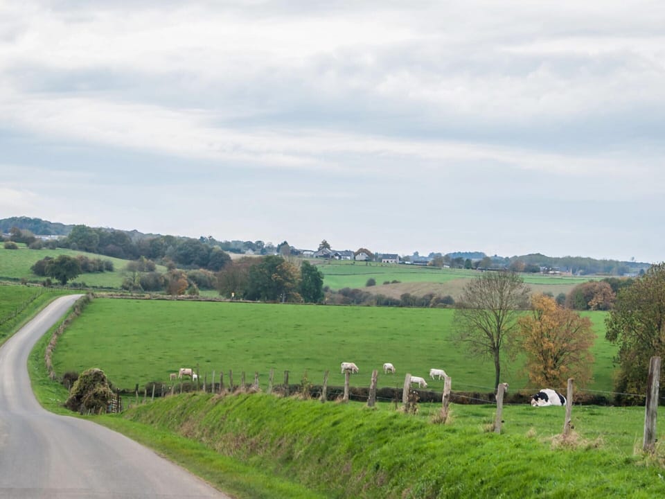 House | View from property