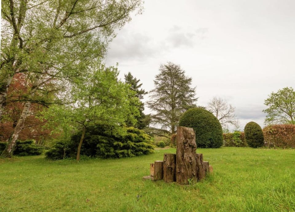 House | View from property