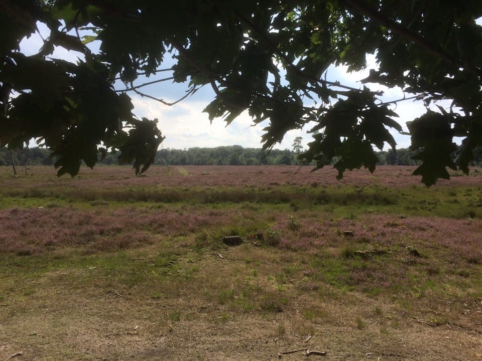 House | View from property