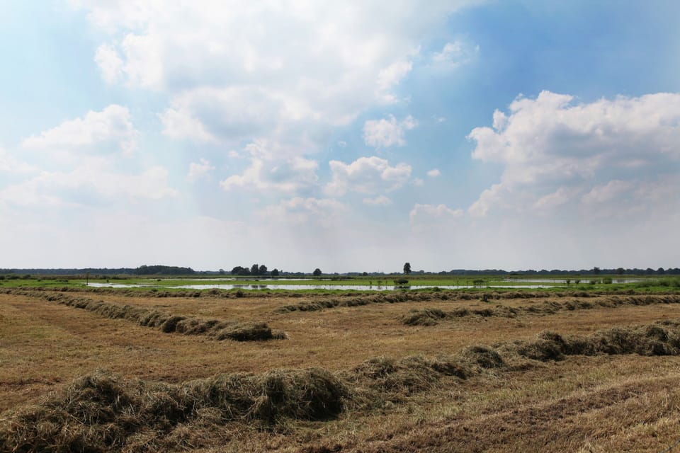 House | View from property