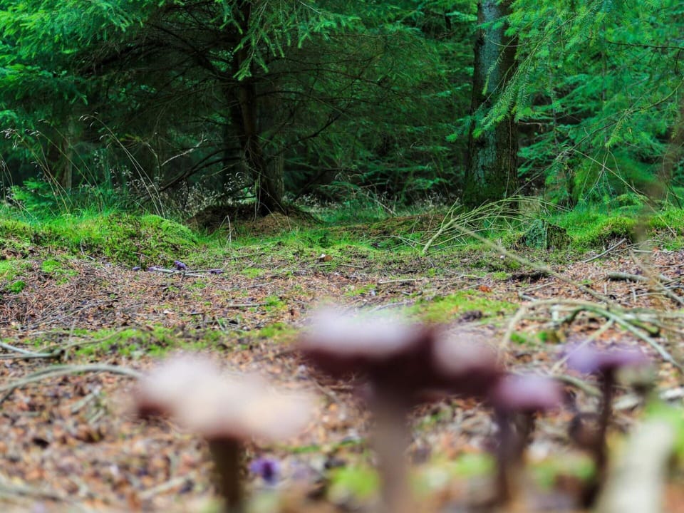 House | Miscellaneous