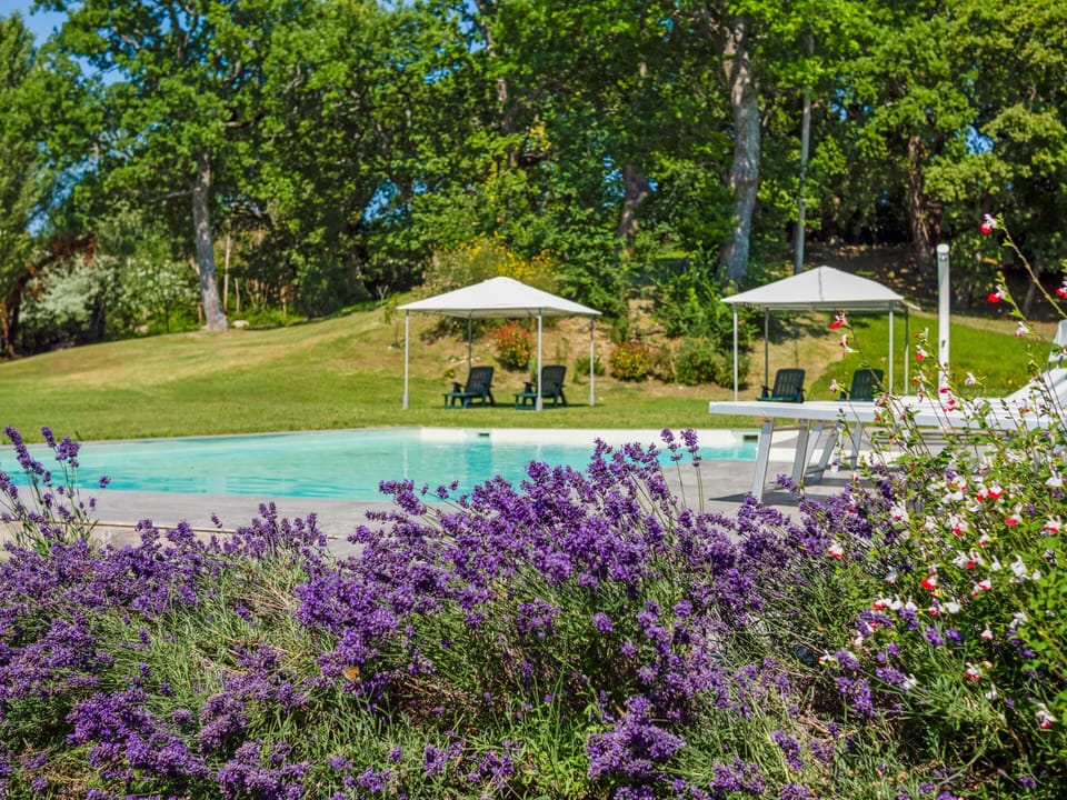 House | Pool | Outdoor pool