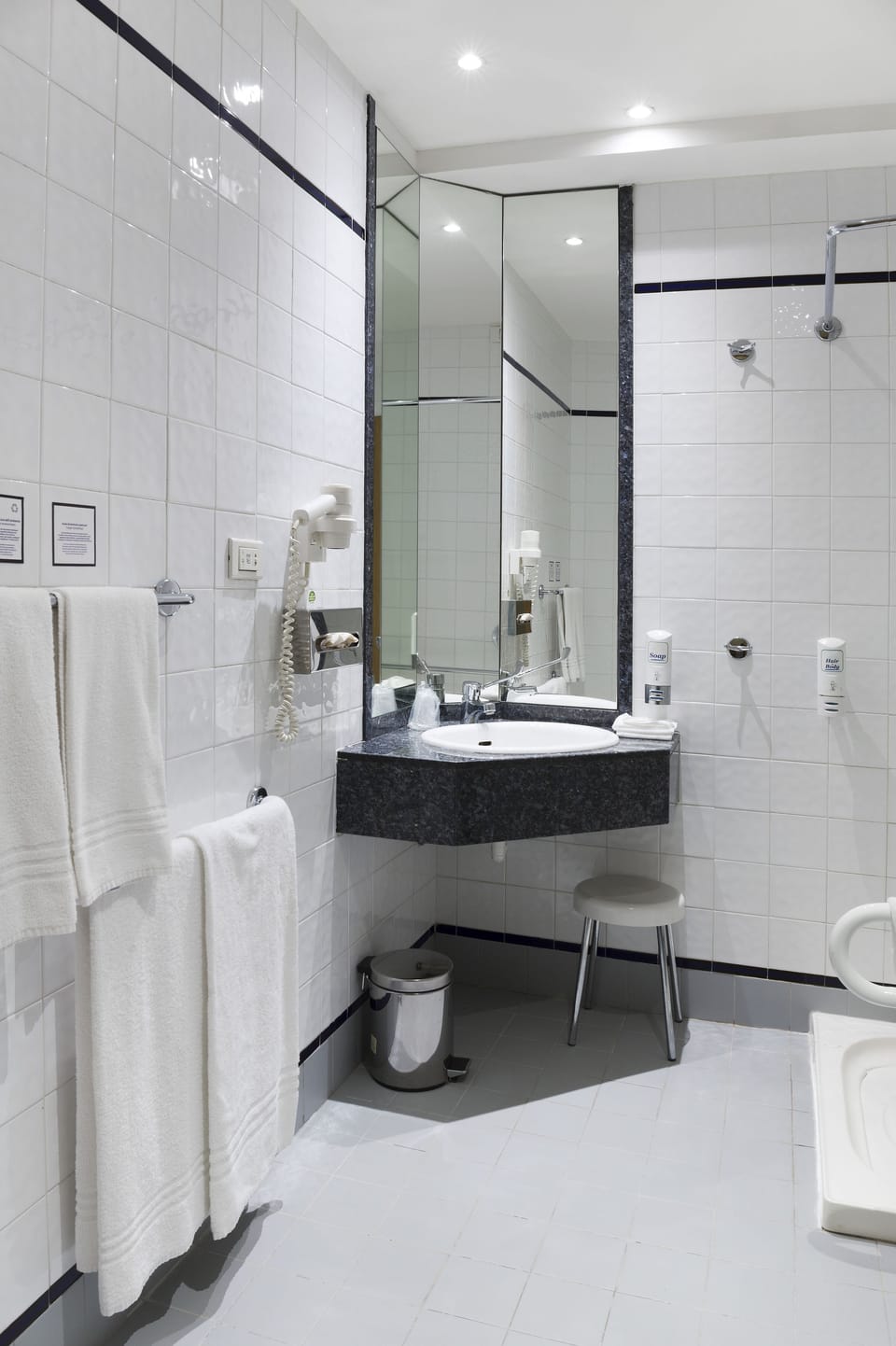 Superior Room, Mobility Accessible | Bathroom | Shower, hair dryer, bidet, towels