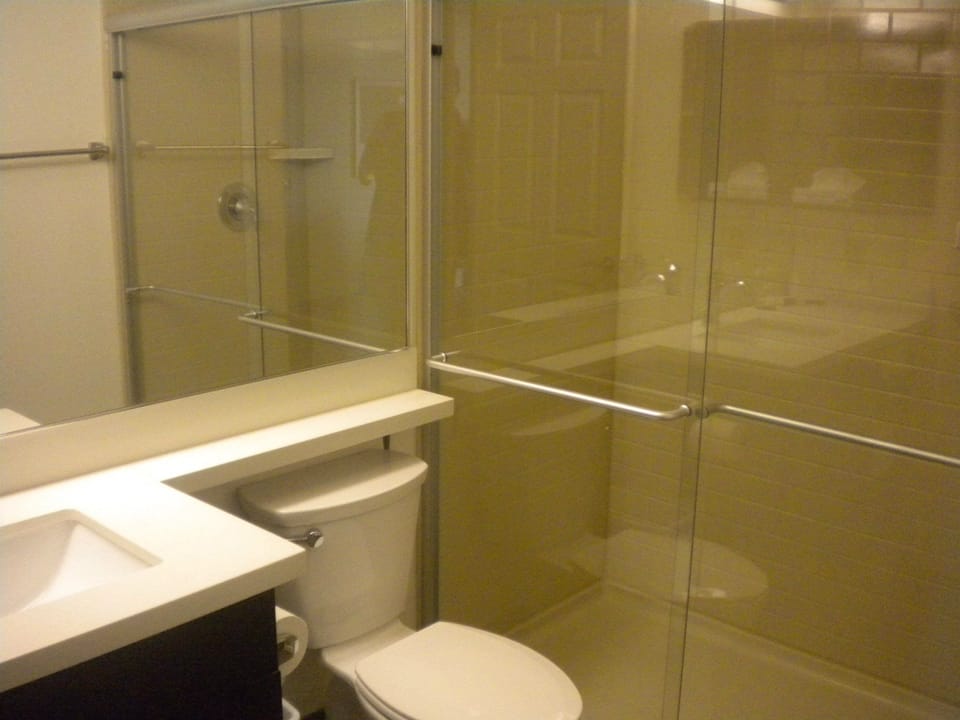 Studio Suite, 1 King Bed (Full Kitchen) | Bathroom shower