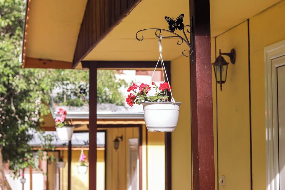 Bungalow, 1 Bedroom, Smoking, Balcony | Front of property