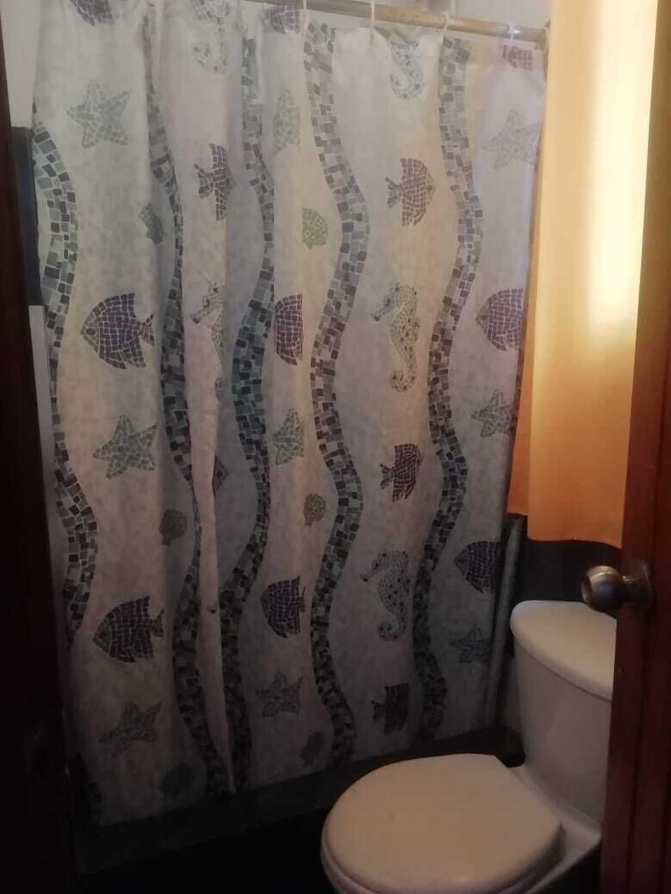 Bathroom shower