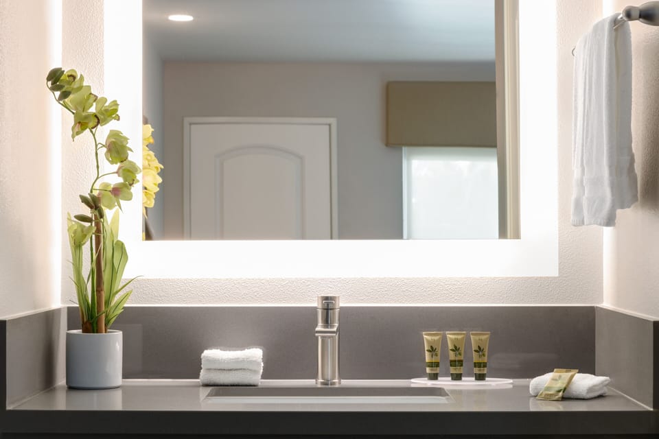 Combined shower/tub, free toiletries, hair dryer, towels