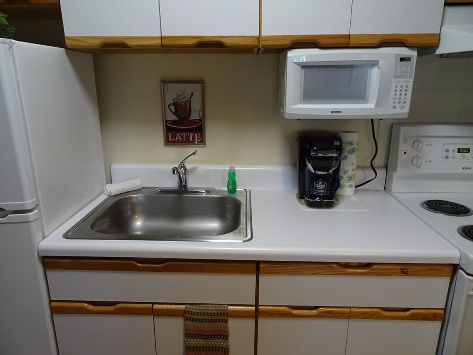 Full-size fridge, microwave, oven, stovetop